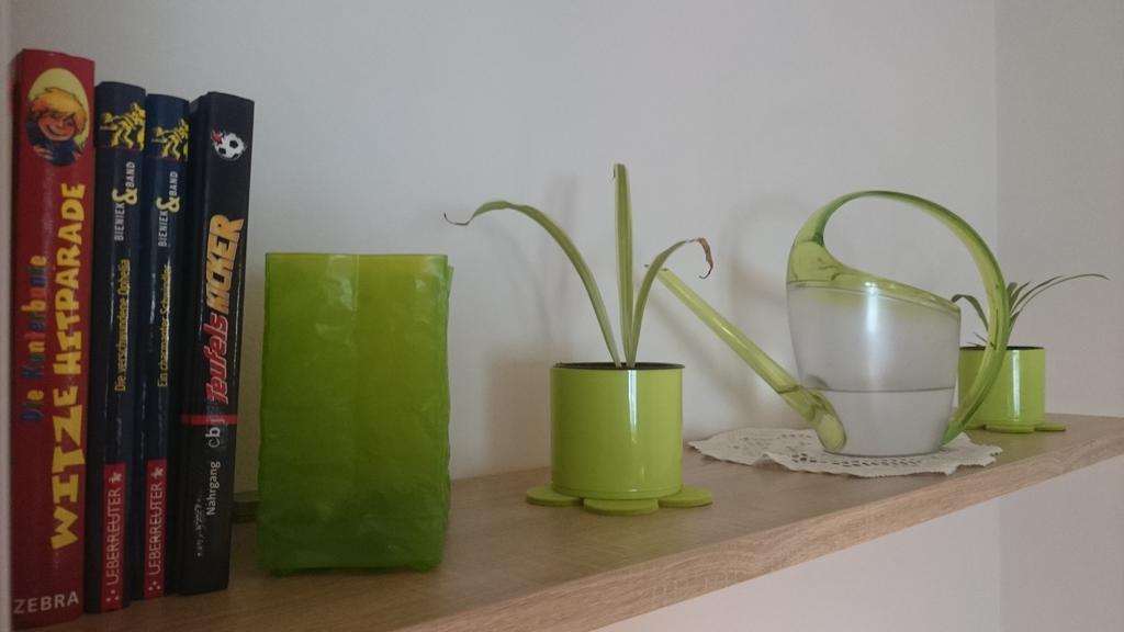 Apartament Crosta Brava Grossdubrau Zewnętrze zdjęcie